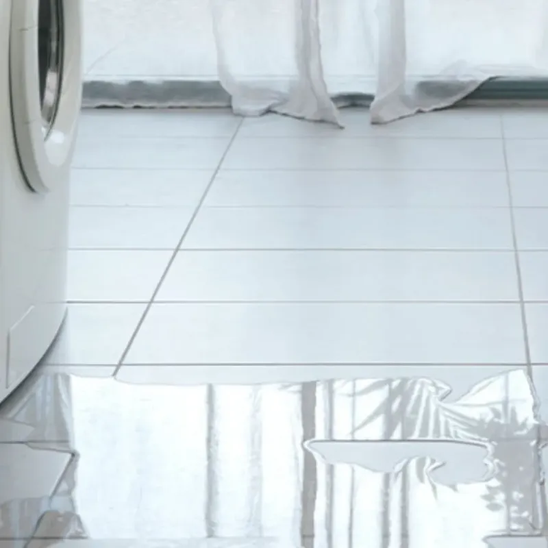 Appliance Leak Cleanup in Buffalo Grove, IL