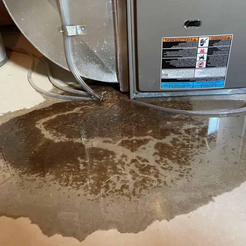 Pipe Burst and Leak Restoration in Buffalo Grove, IL